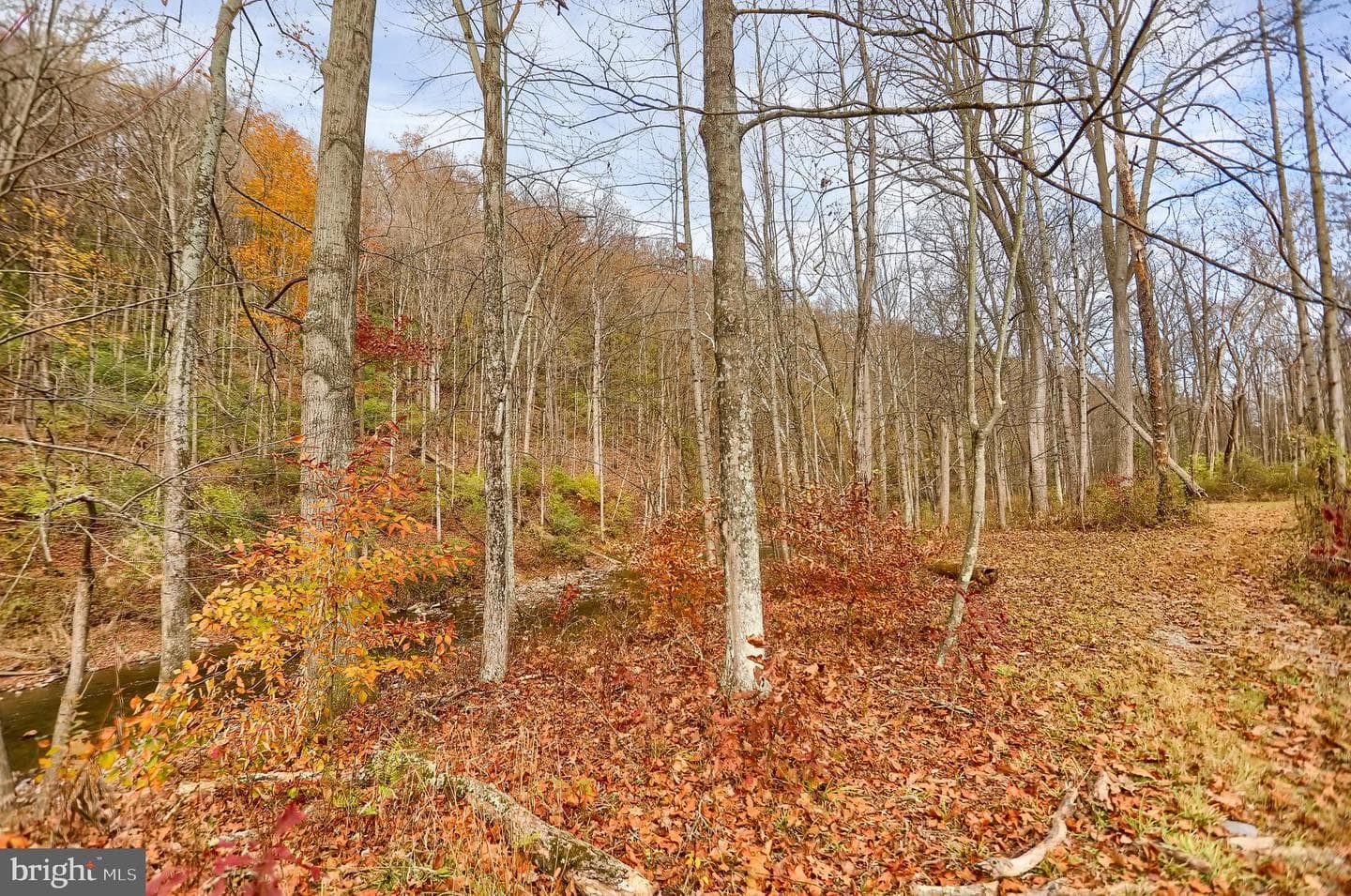 227 Jacks Creek Road photo 50