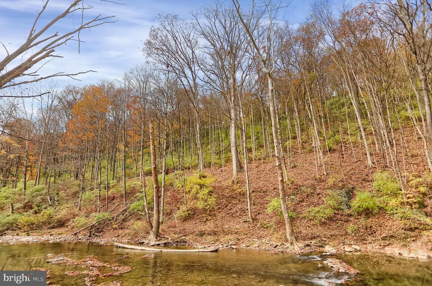 227 Jacks Creek Road photo 53