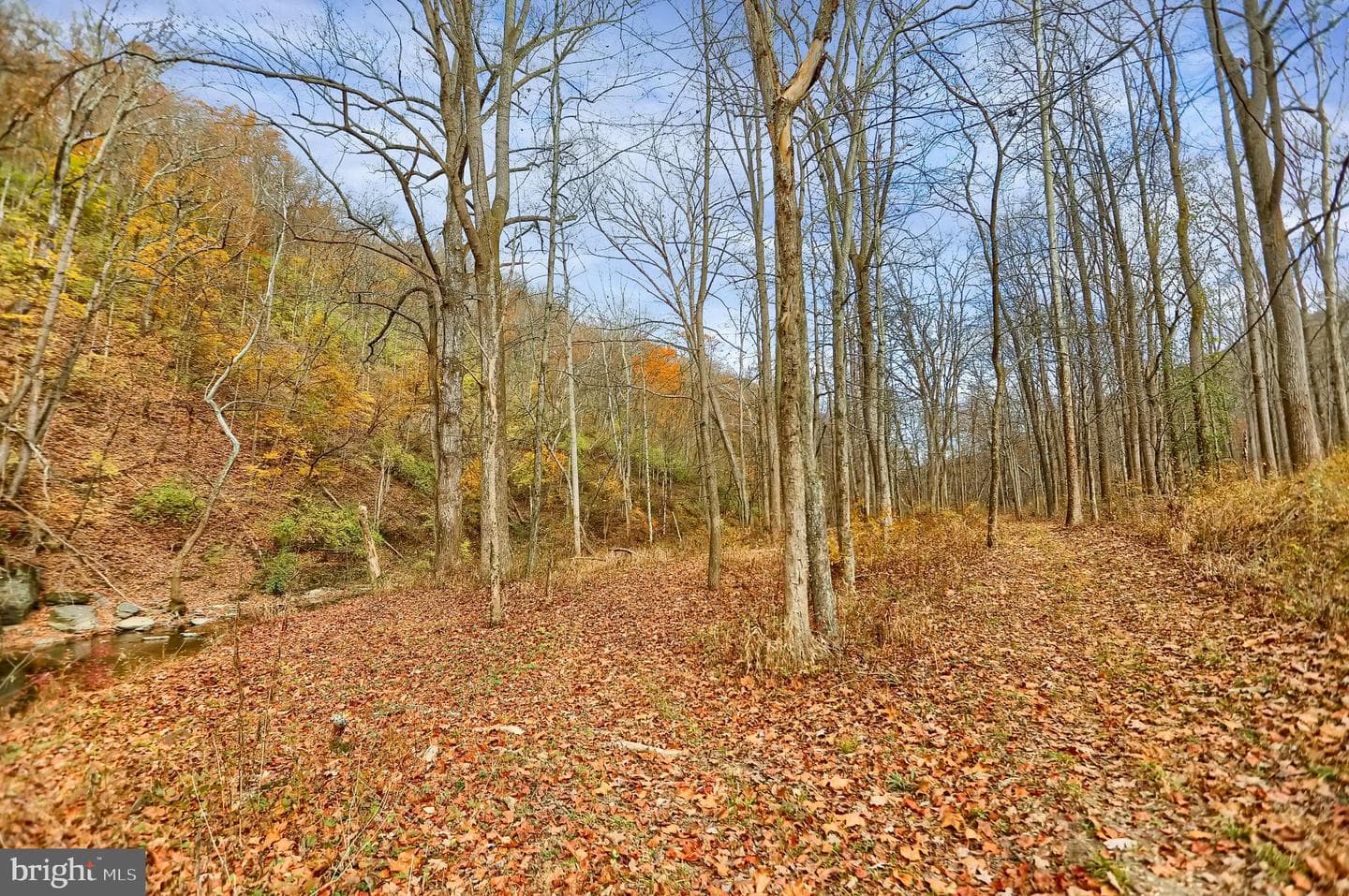 227 Jacks Creek Road photo 54