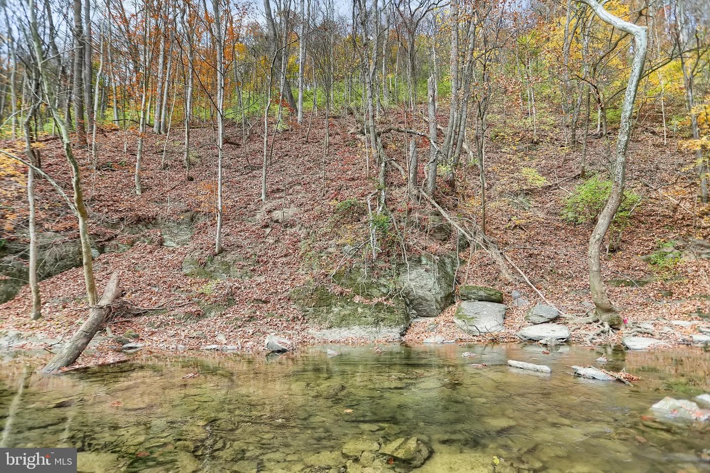 227 Jacks Creek Road photo 56