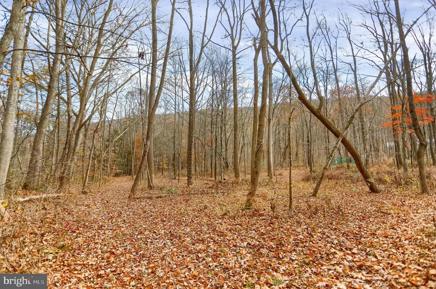 227 Jacks Creek Road photo 57