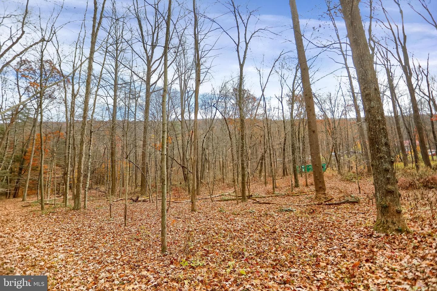 227 Jacks Creek Road photo 58