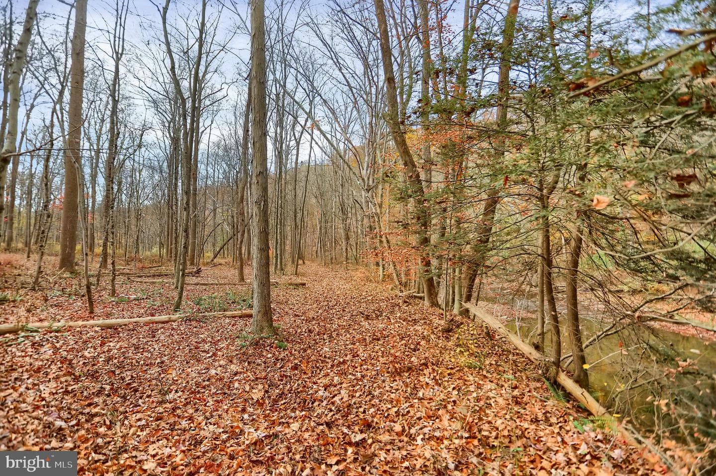 227 Jacks Creek Road photo 59
