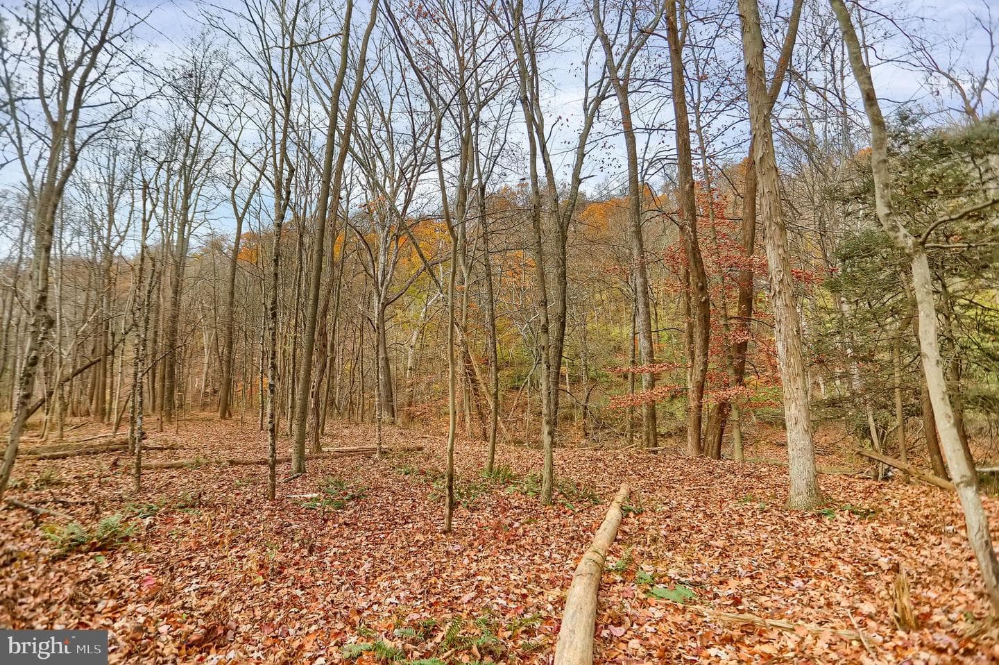227 Jacks Creek Road photo 60