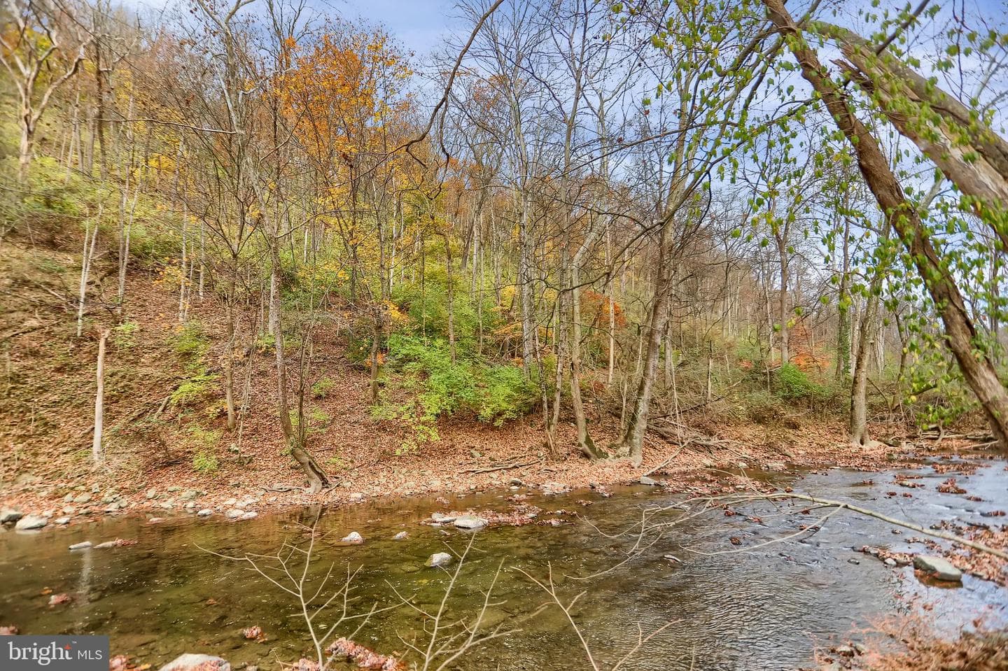 227 Jacks Creek Road photo 61