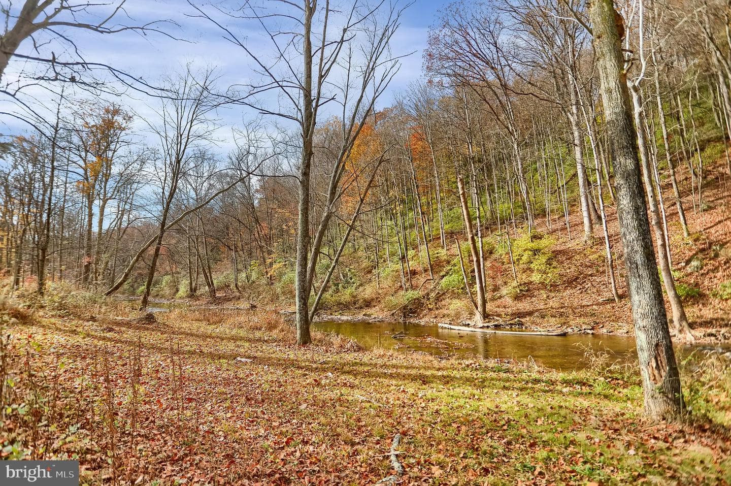 227 Jacks Creek Road photo 62