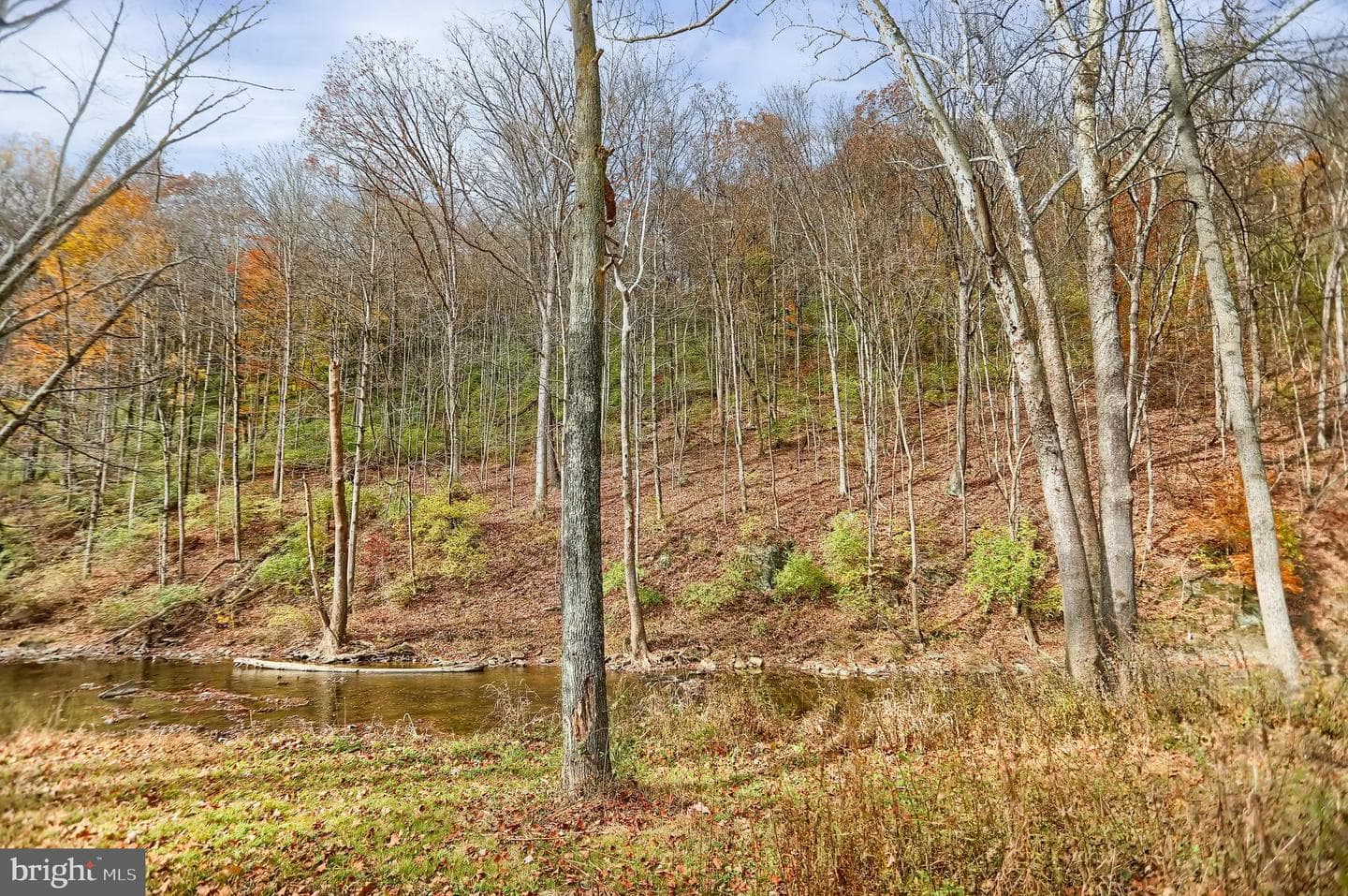 227 Jacks Creek Road photo 63