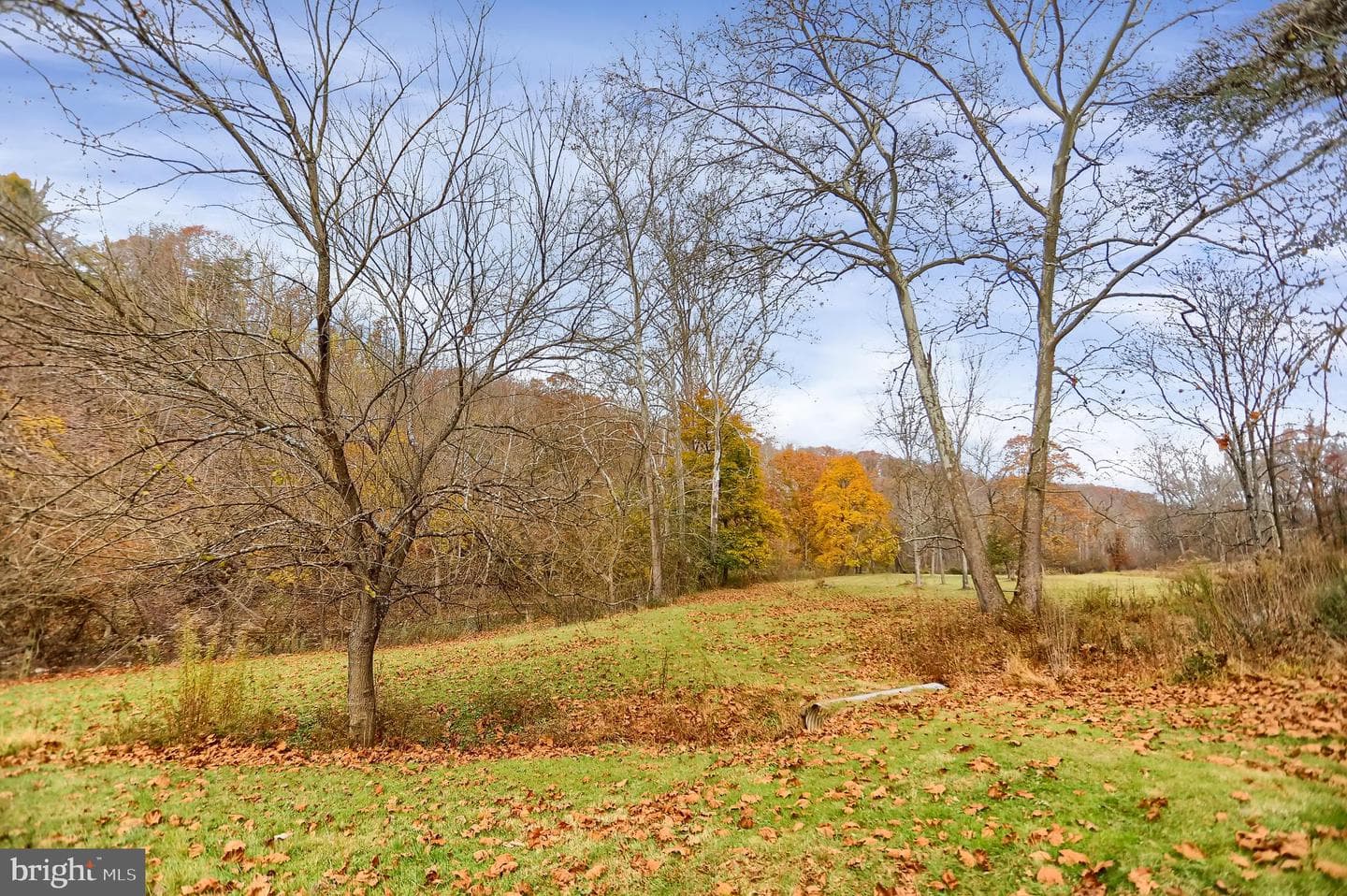 227 Jacks Creek Road photo 64