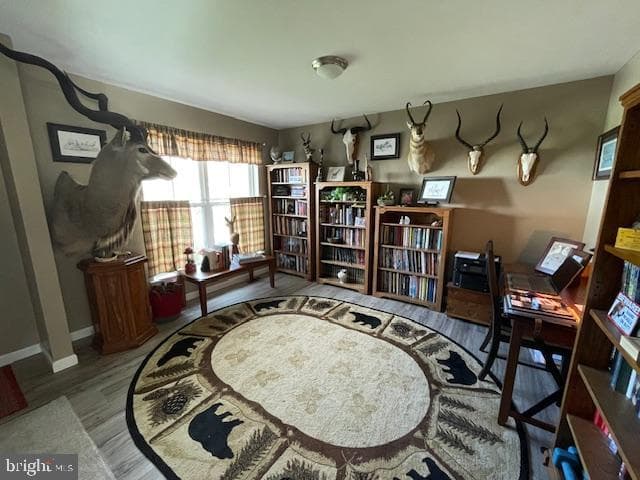225 Cornfield Circle photo 11