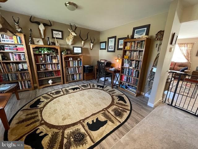 225 Cornfield Circle photo 12