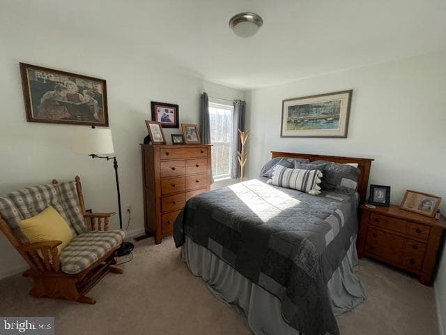 225 Cornfield Circle photo 17