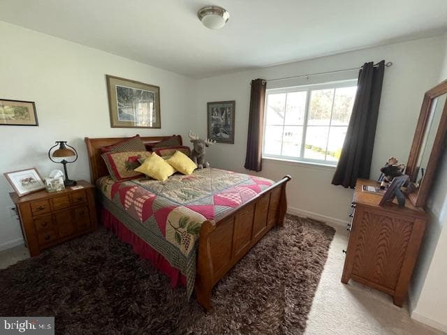 225 Cornfield Circle photo 18
