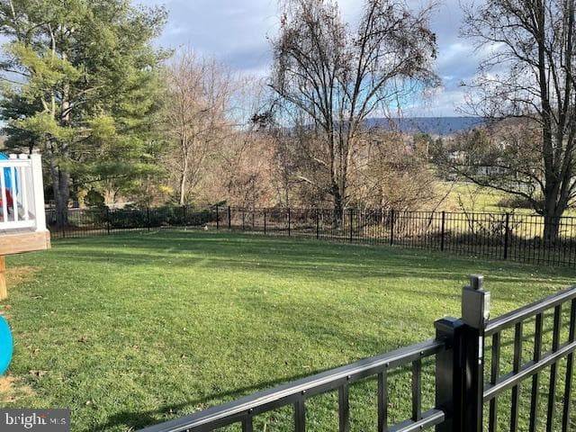 225 Cornfield Circle photo 24