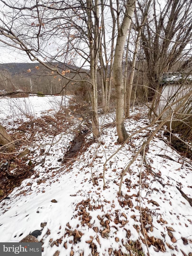 674 Pine Glenn Road photo 34