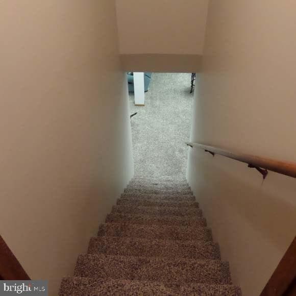 289 Cornfield Circle photo 16