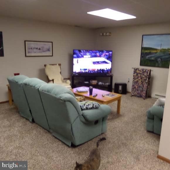289 Cornfield Circle photo 18