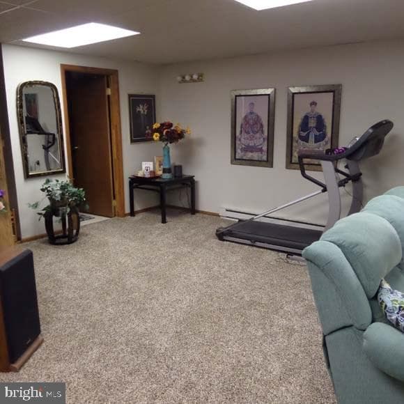 289 Cornfield Circle photo 19