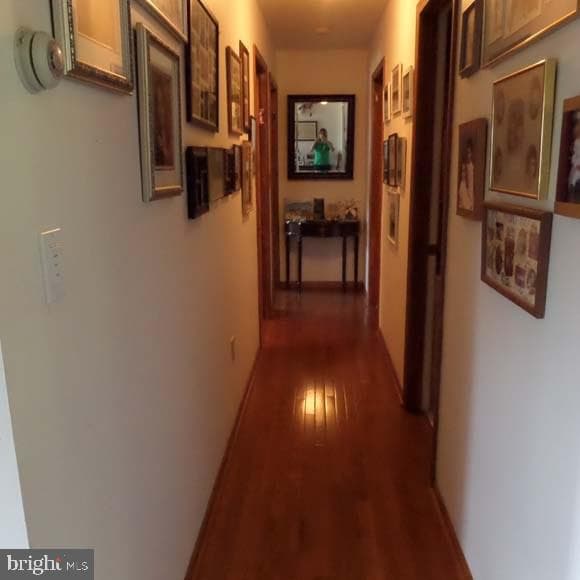 289 Cornfield Circle photo 27