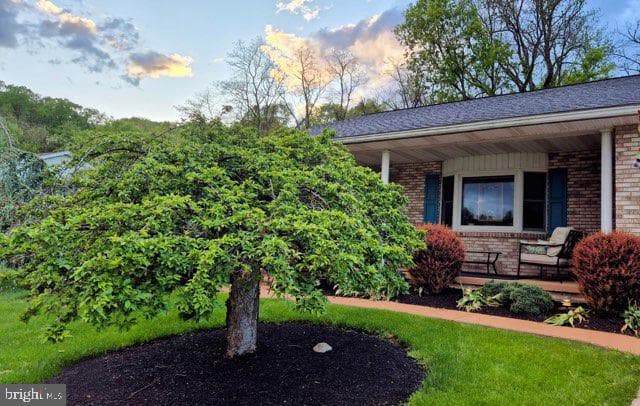 289 Cornfield Circle photo 42