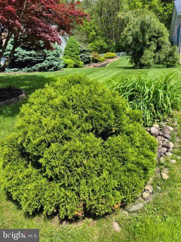 289 Cornfield Circle photo 44