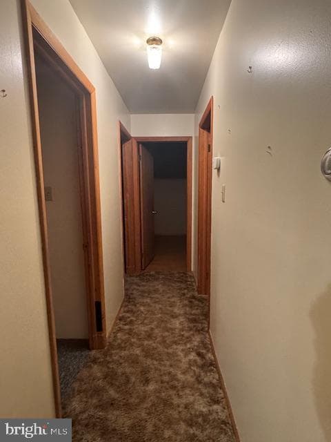 10 Upper Lewland Circle photo 19