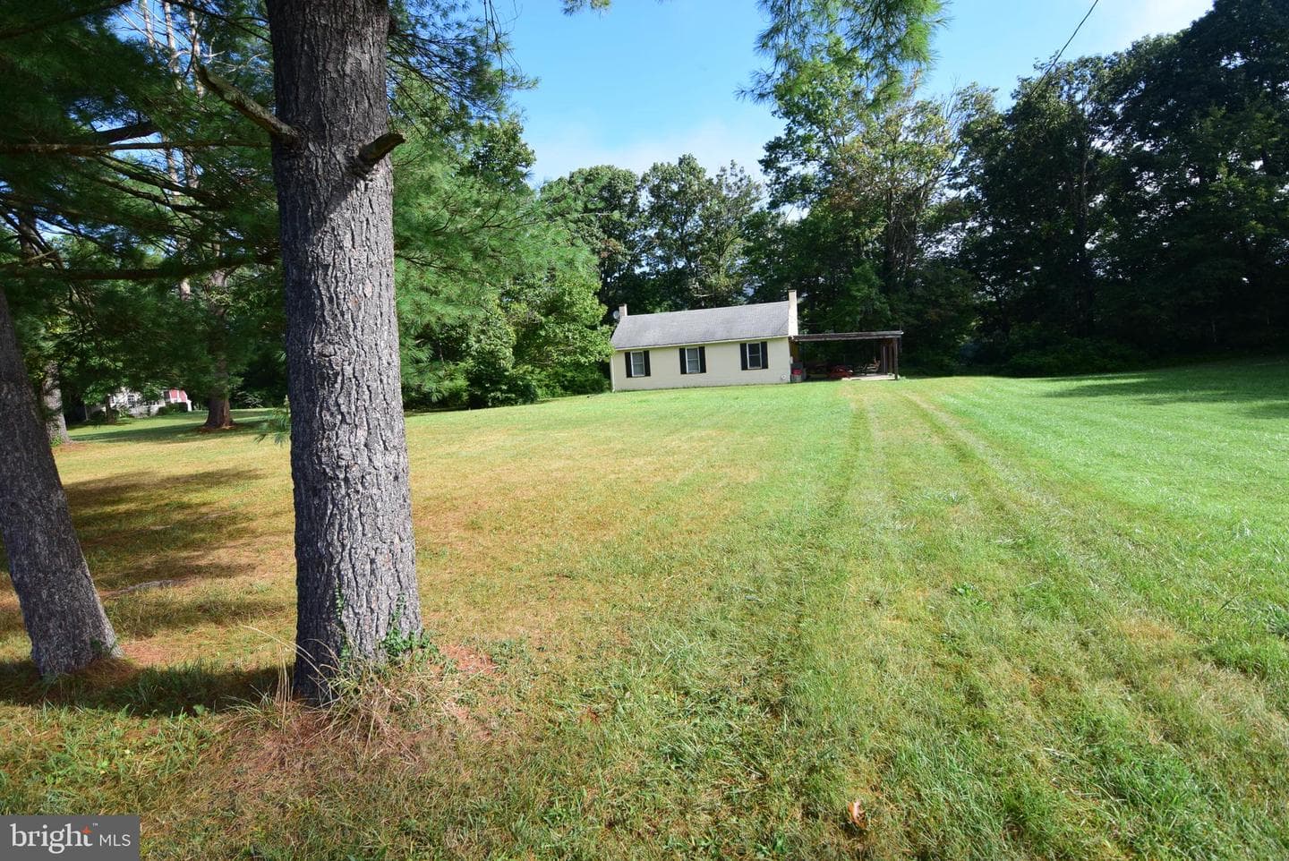 149 Juniata Drive photo 3