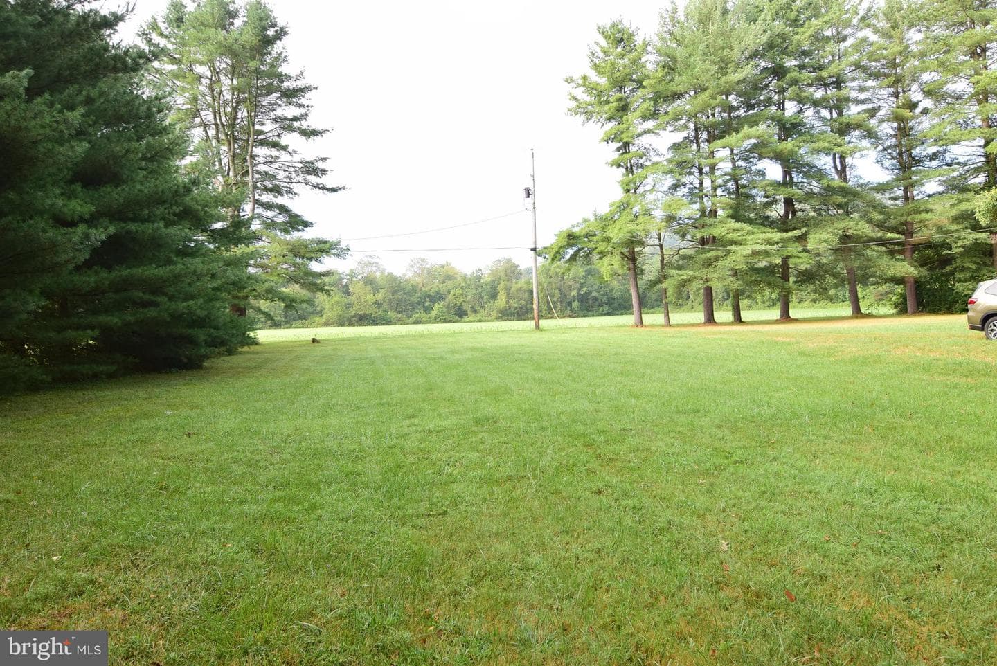 149 Juniata Drive photo 4