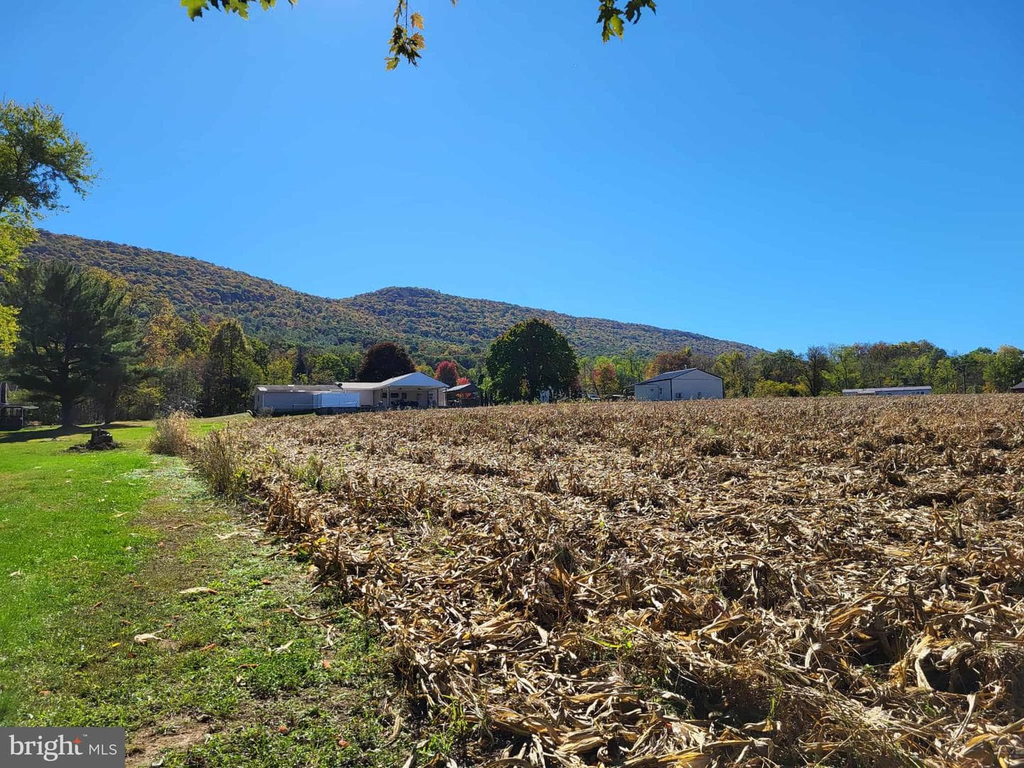 10 Flatland Road photo 60