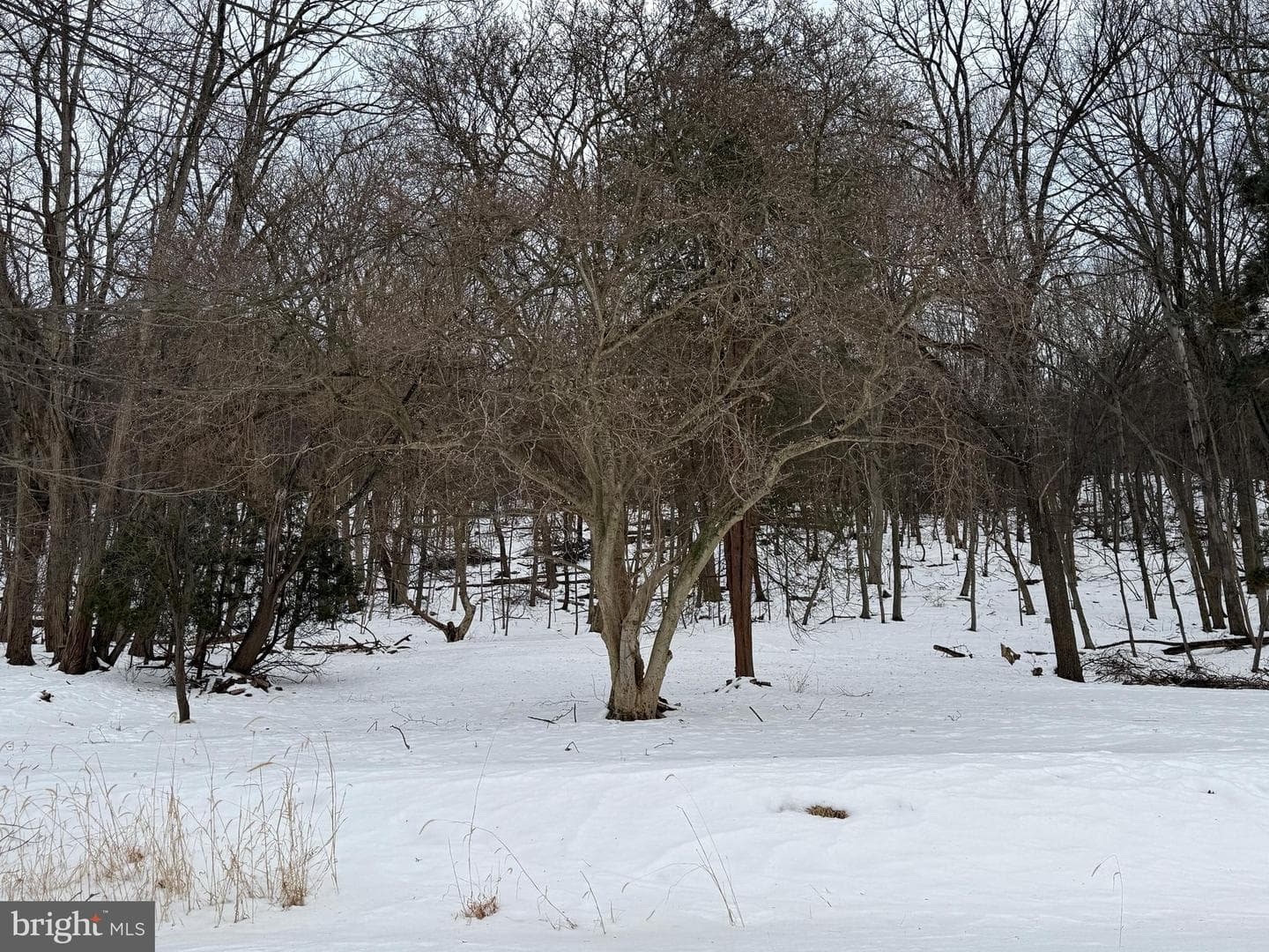 514 Highland Avenue photo 29