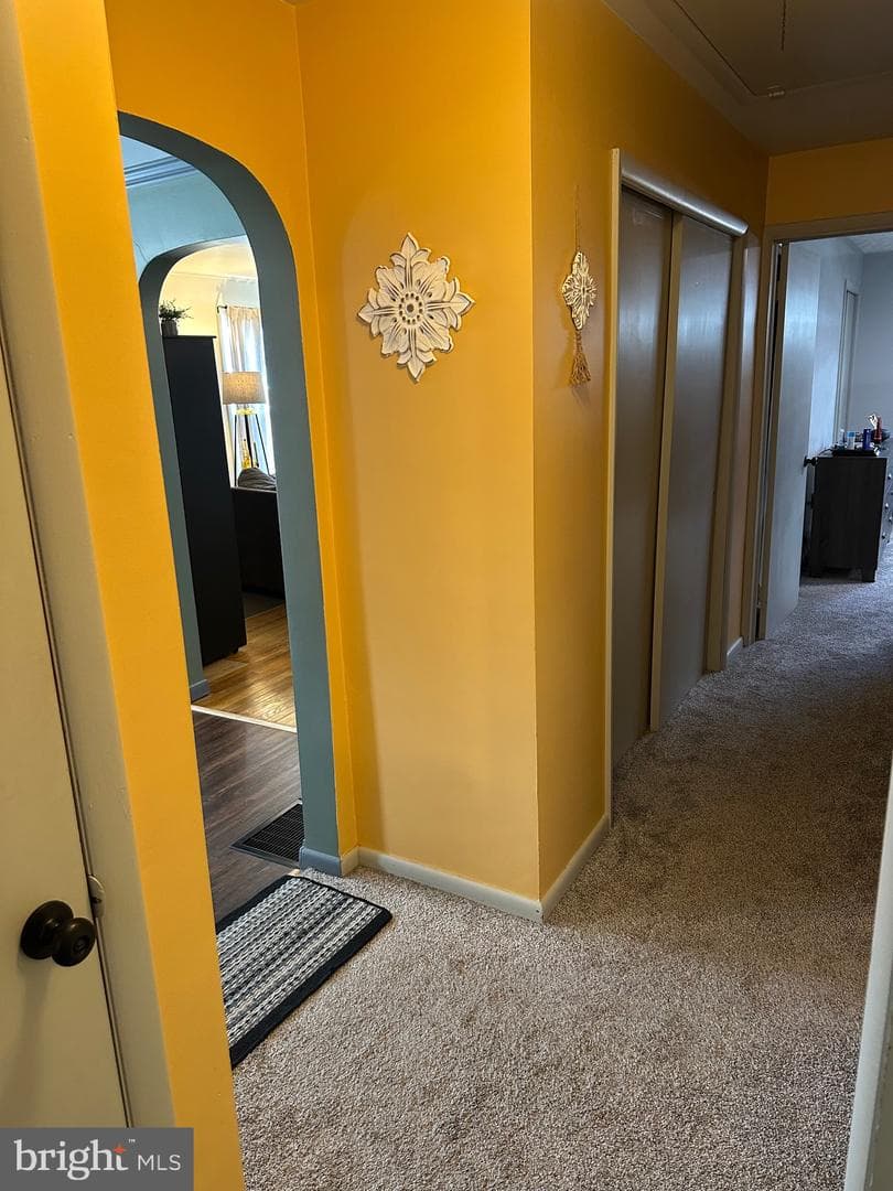 10 Winding Way photo 17