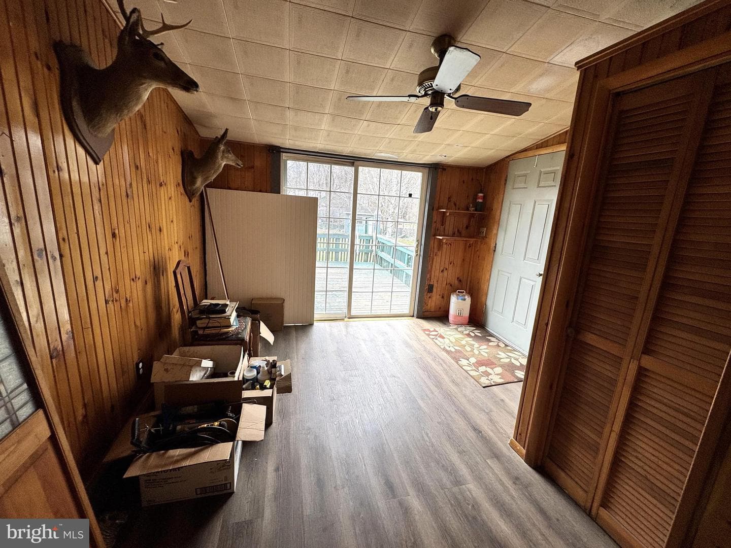 12 Maclay Street photo 10