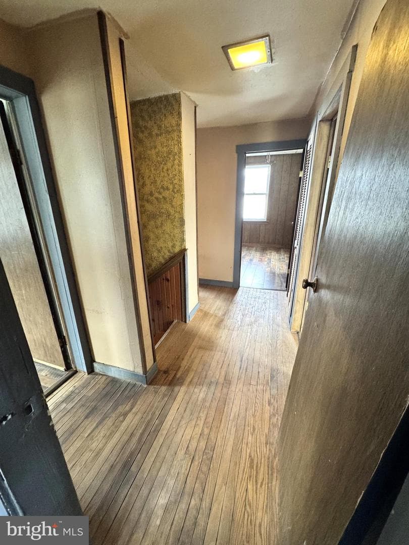 12 Maclay Street photo 13
