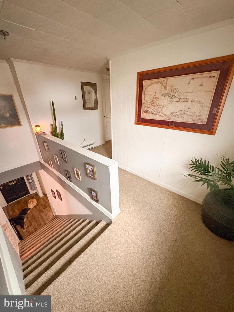 12 Green Avenue photo 19
