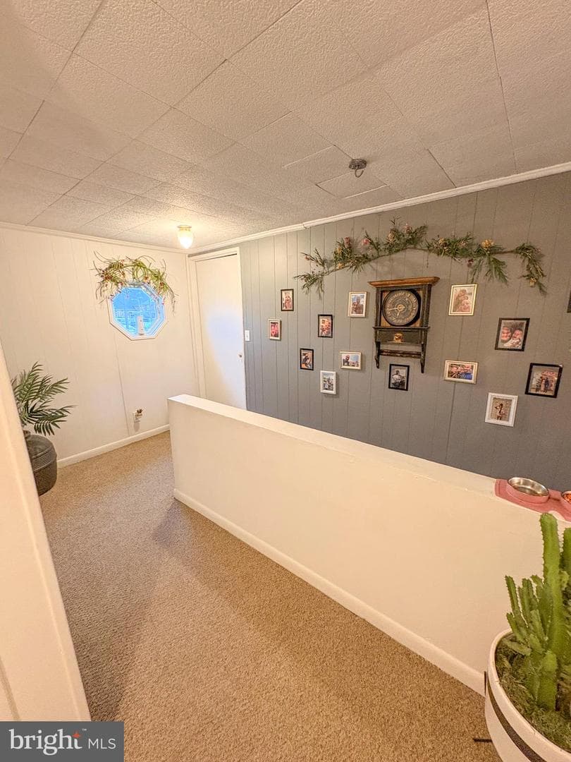12 Green Avenue photo 20