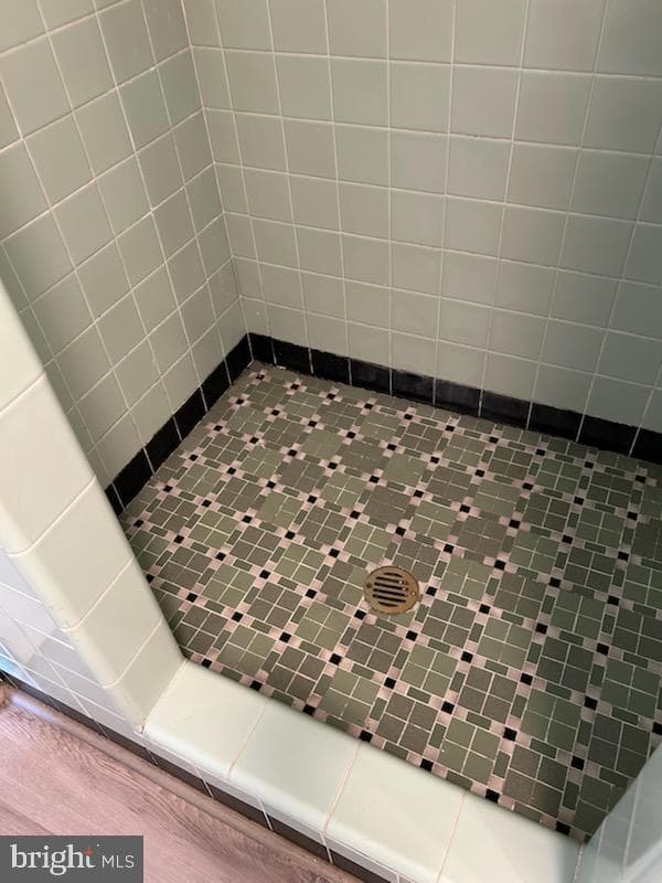 118 E Fleming Avenue photo 26