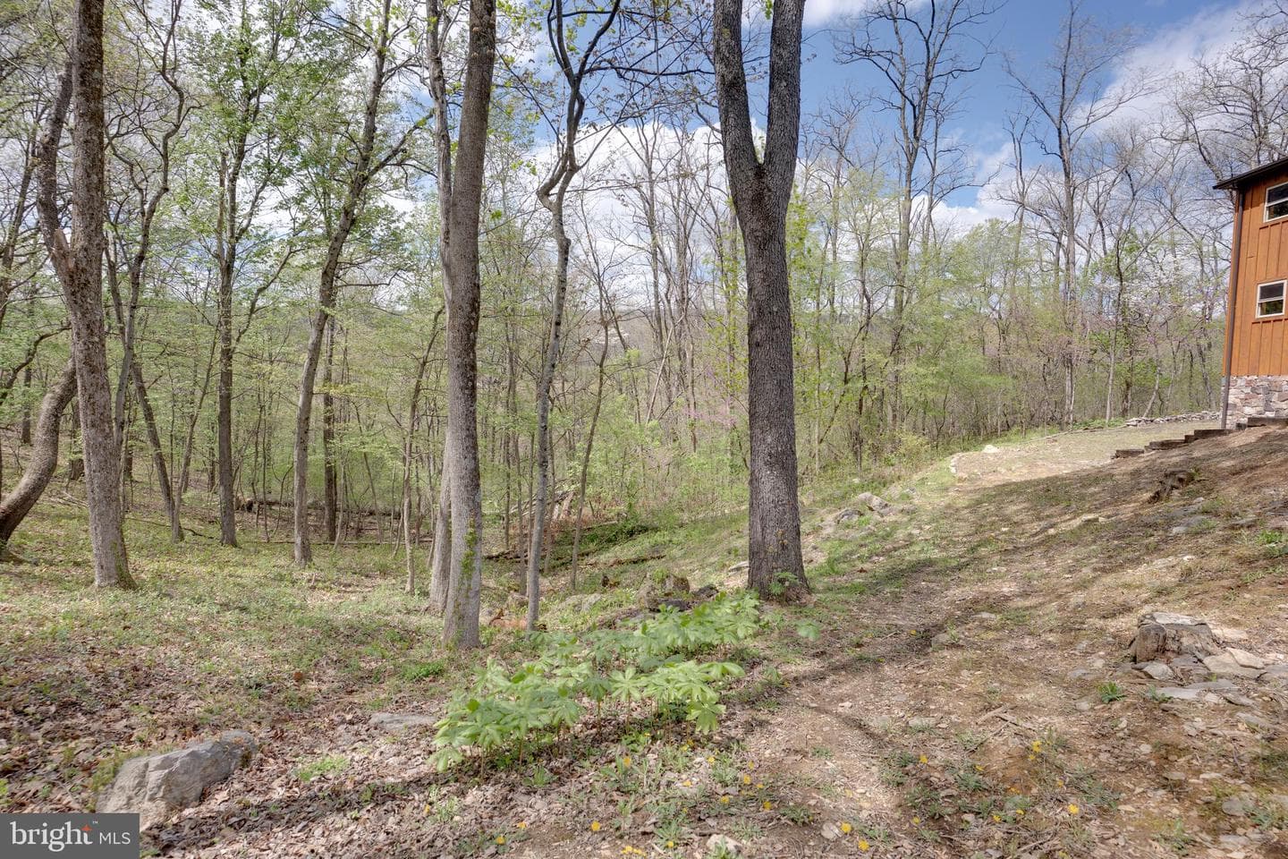 138 Deerwood Drive photo 26