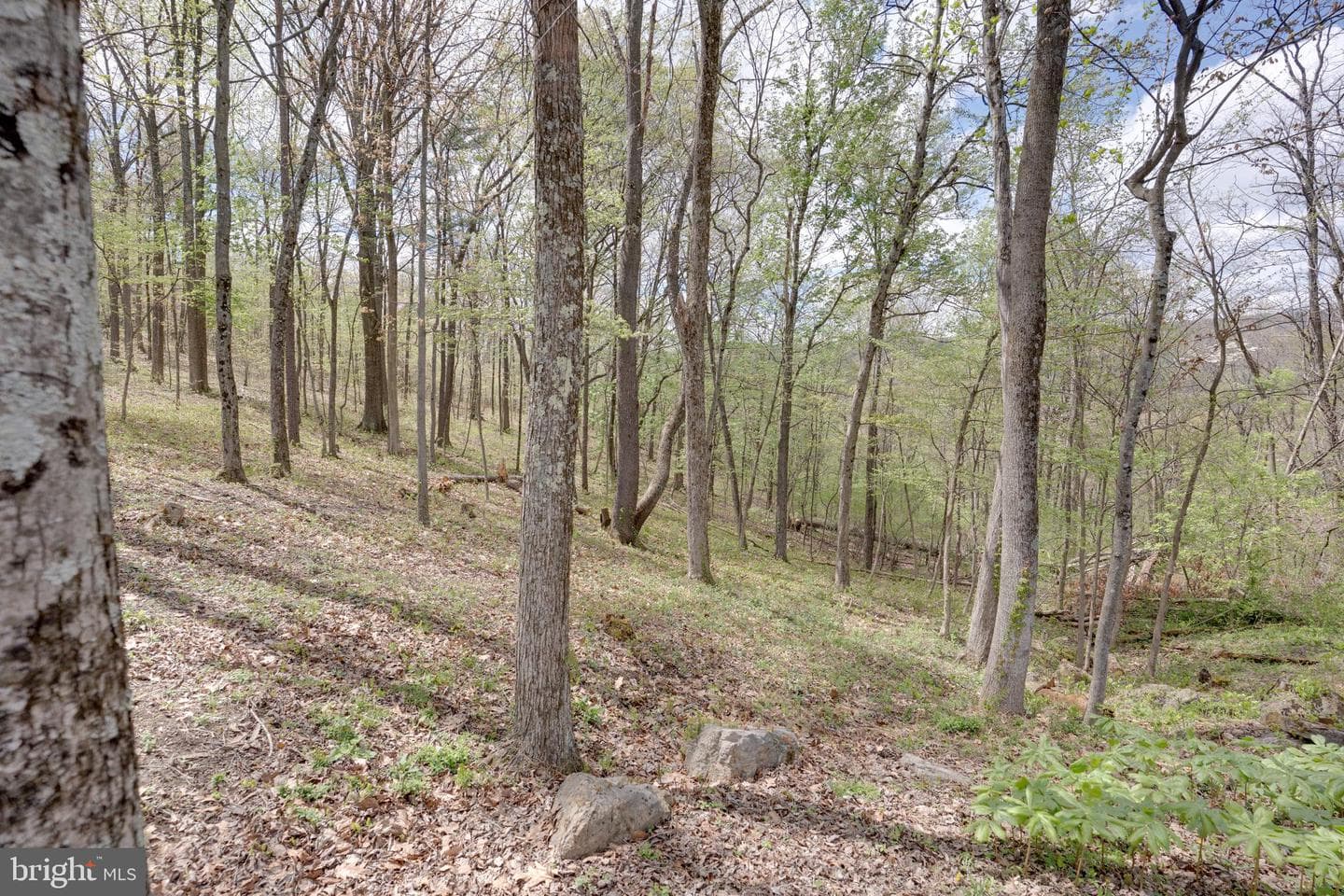 138 Deerwood Drive photo 27