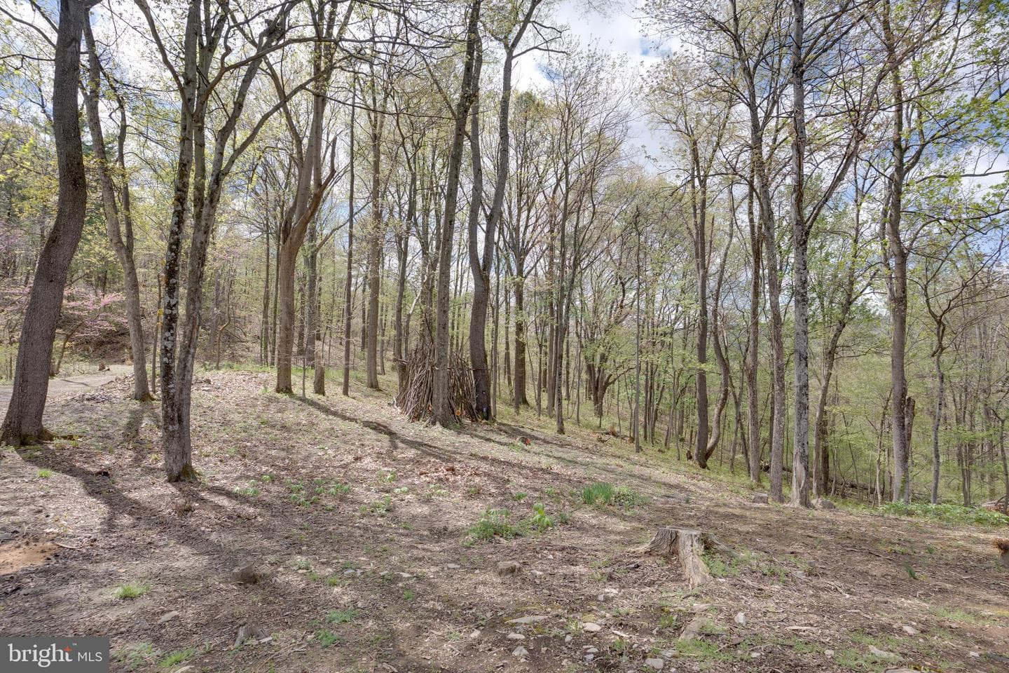 138 Deerwood Drive photo 28