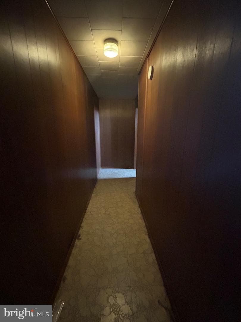 56 Maclay Street photo 31