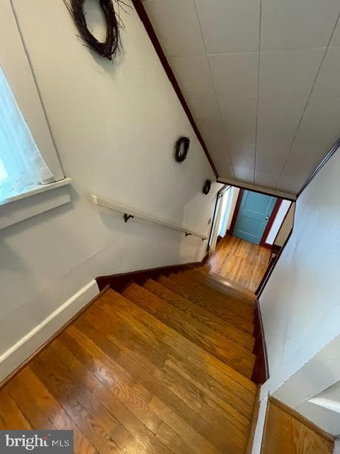 378 Tea Creek Rd photo 22