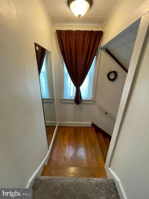 378 Tea Creek Rd photo 23