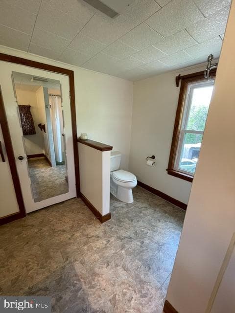 378 Tea Creek Rd photo 28