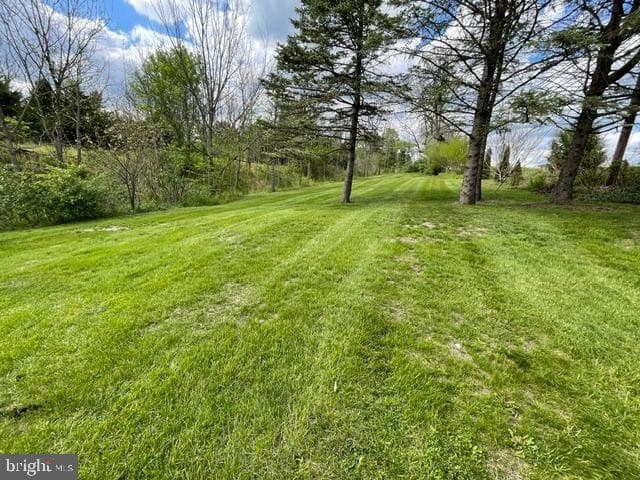 378 Tea Creek Rd photo 36