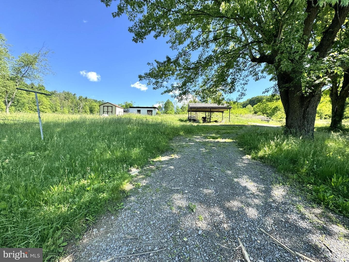 373 Strodes Run Road photo 3