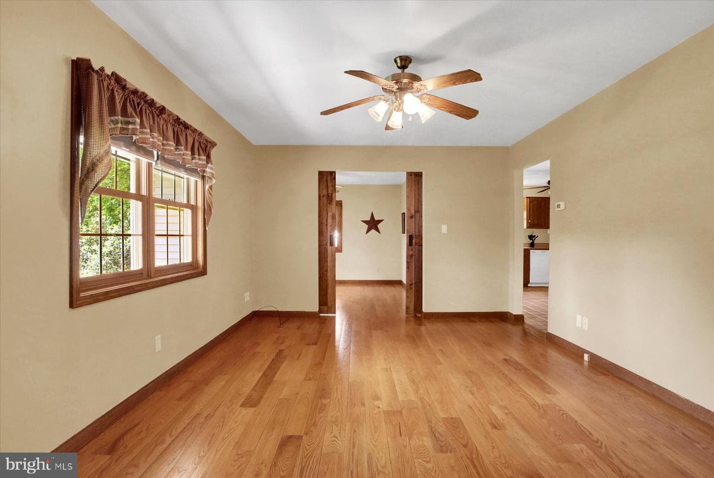 339 Park Drive photo 12
