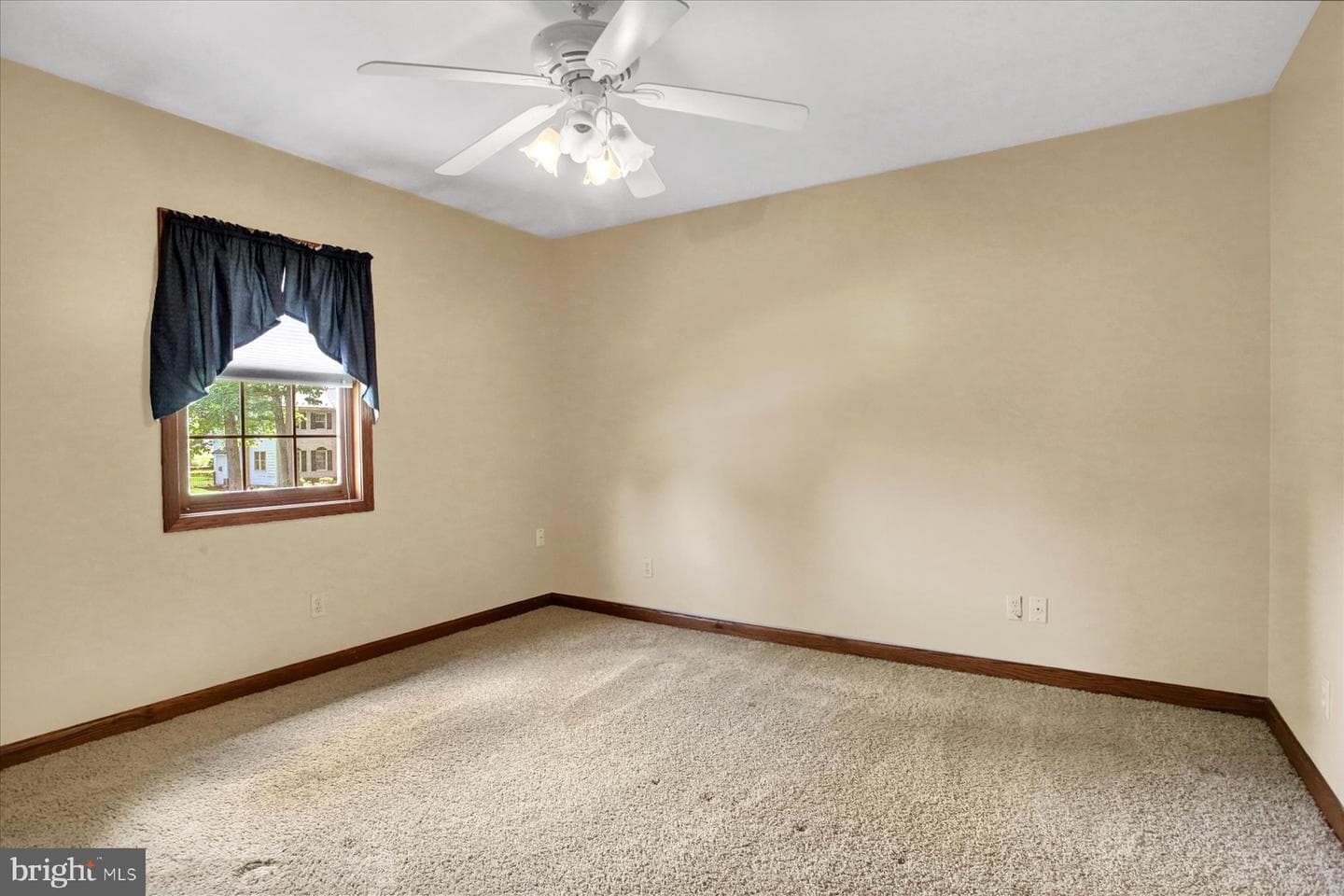 339 Park Drive photo 19
