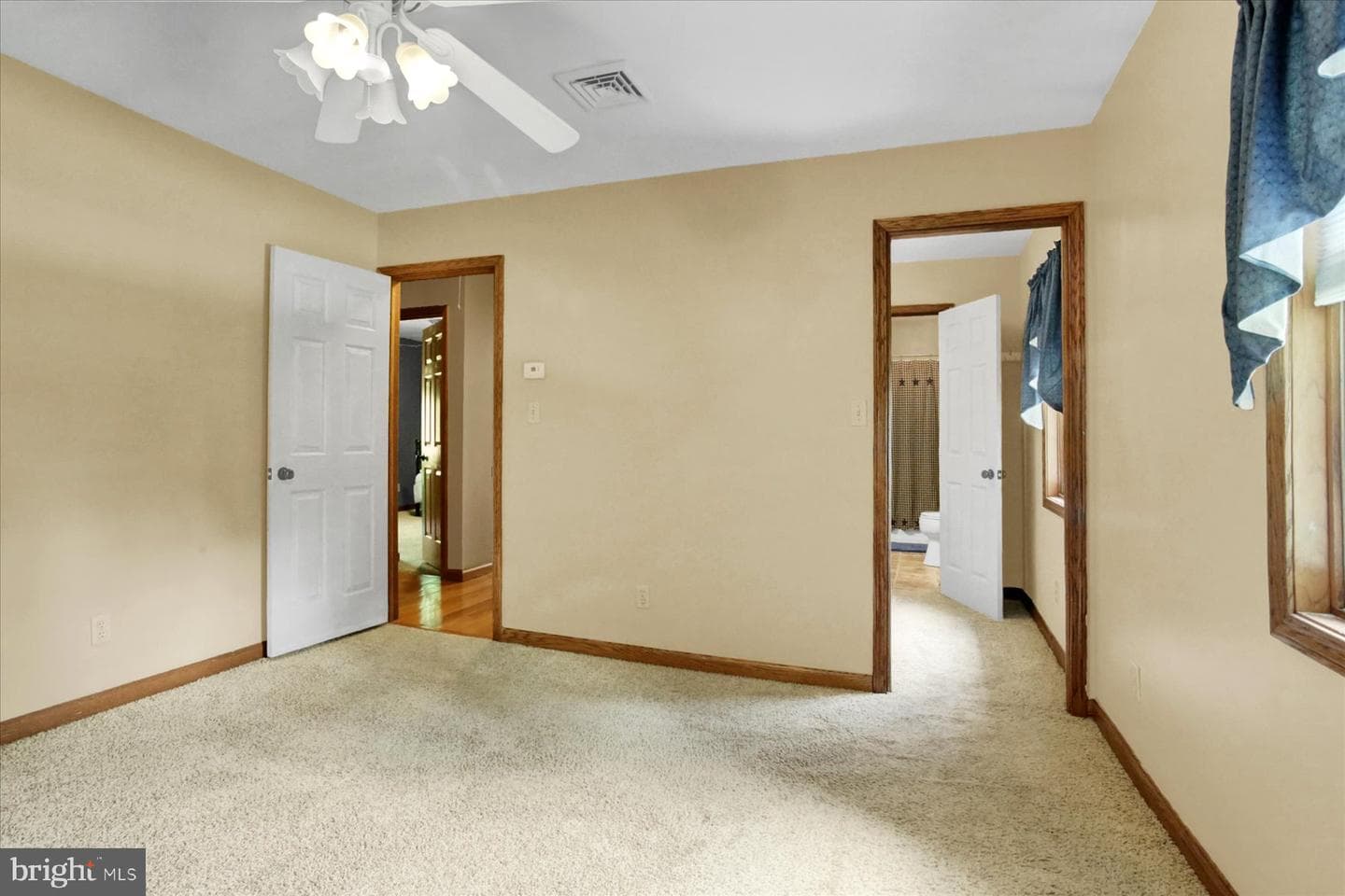 339 Park Drive photo 20