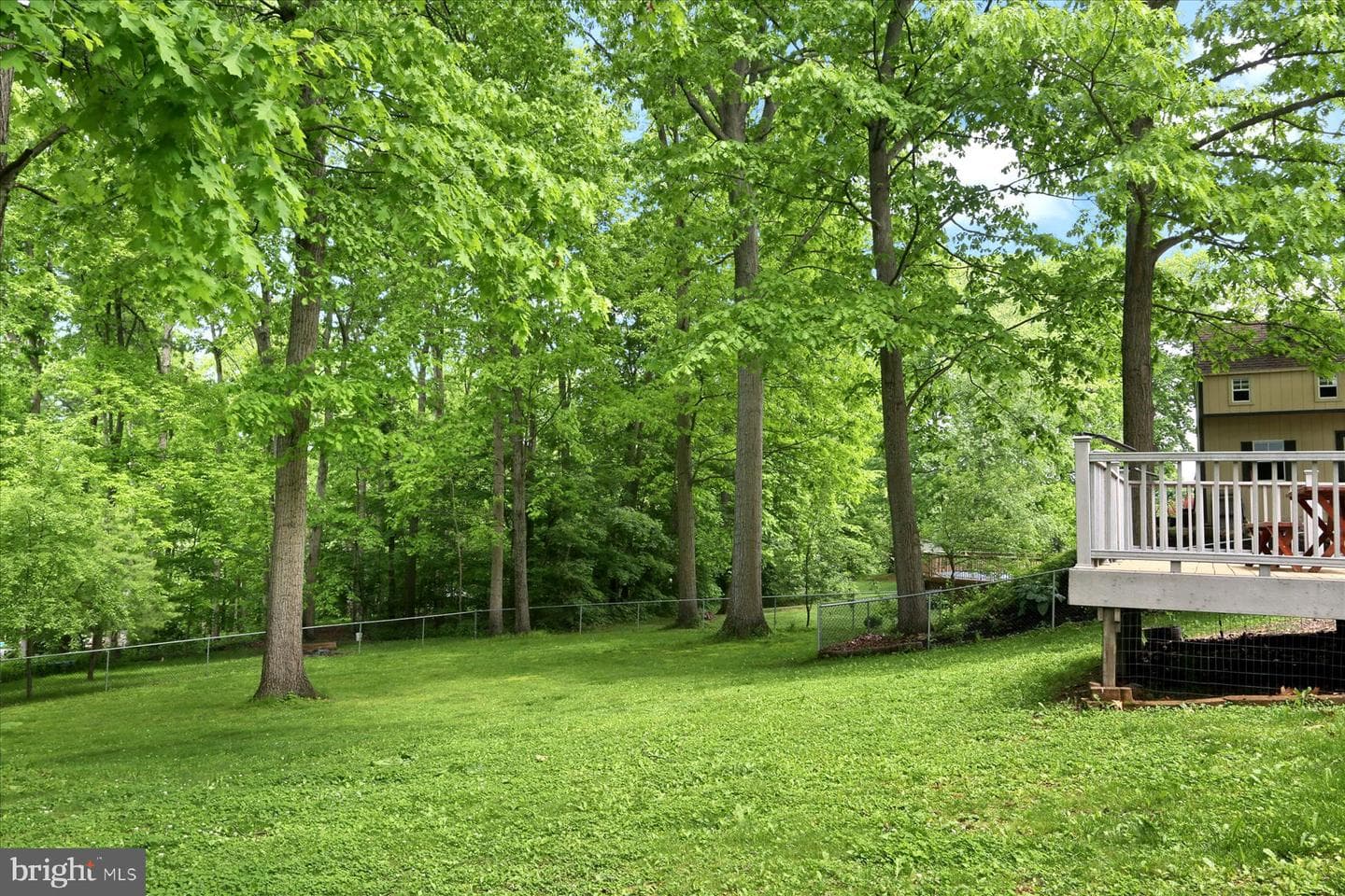 339 Park Drive photo 38