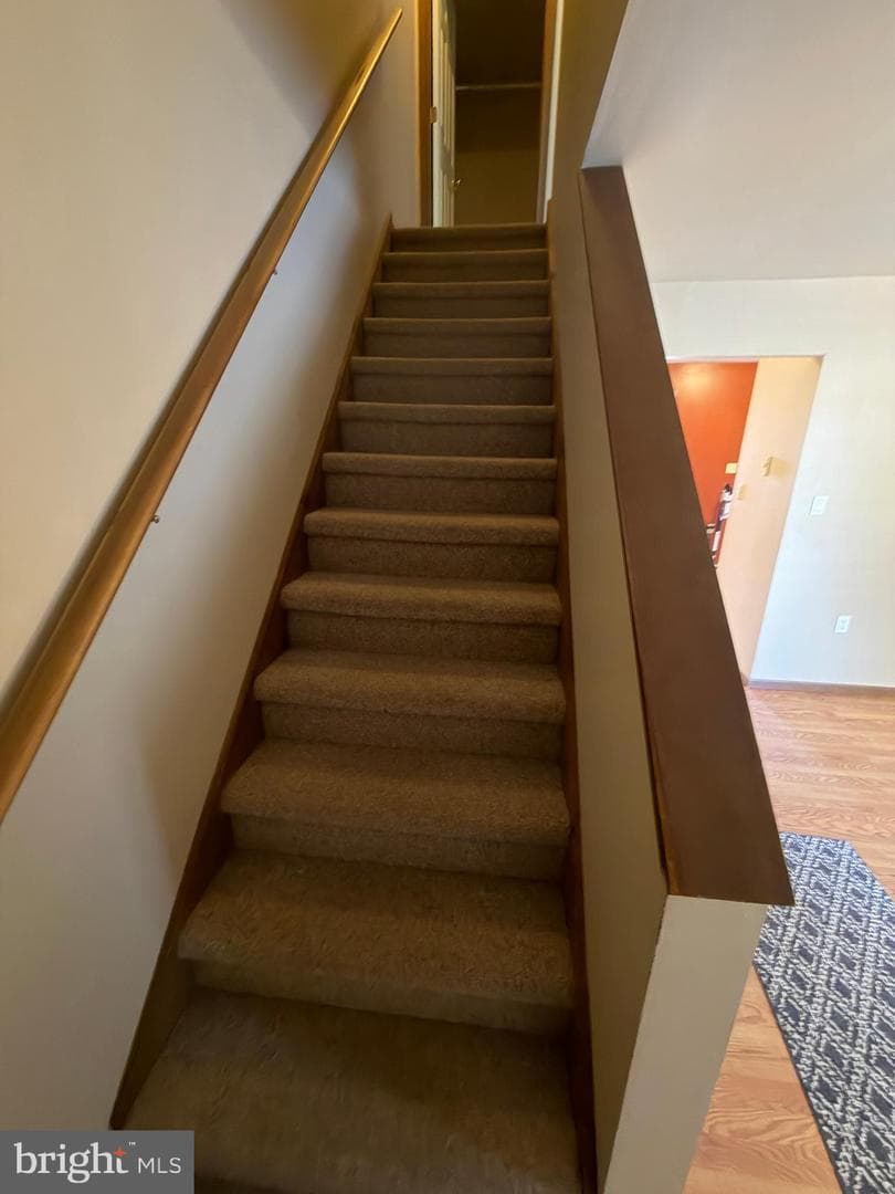 10e Taylor Drive photo 6