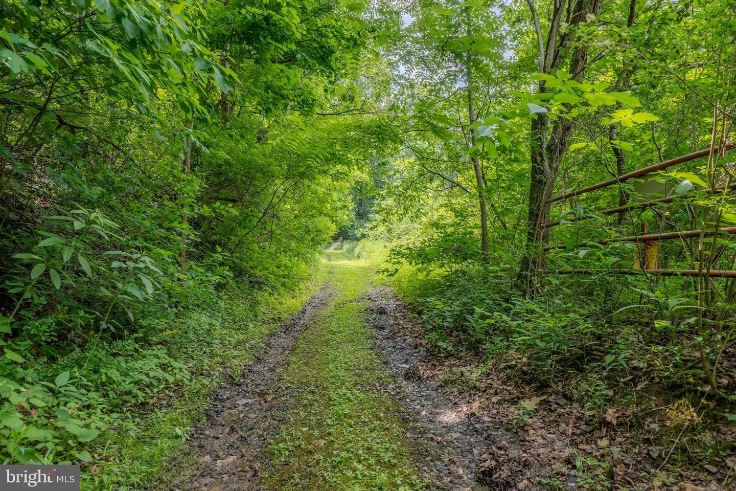 4668 Route 103 N photo 45
